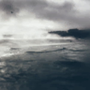 Meet your Posher, Andres felipe